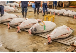 wholesaleのイラスト