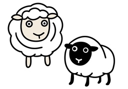 woolのイラスト