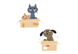 abandonのイラスト