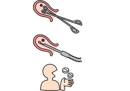 abortionのイラスト