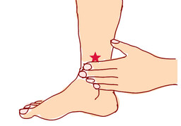 ankleのイラスト