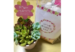 anniversaryのイラスト