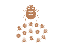 breedのイラスト