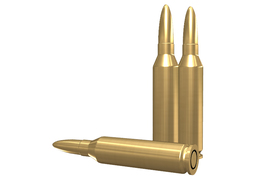 bulletのイラスト