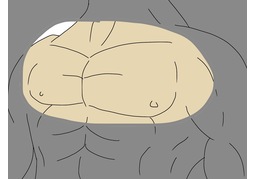 chestのイラスト