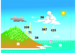 circulateのイラスト