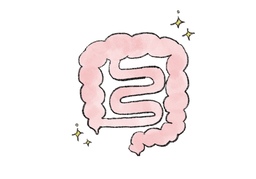 digestのイラスト