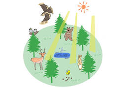 ecologyのイラスト