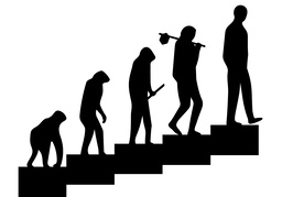 evolutionのイラスト