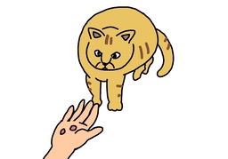 feedのイラスト