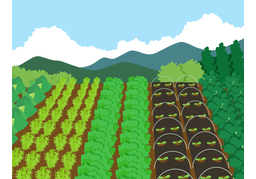 fertileのイラスト