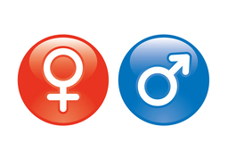 genderのイラスト