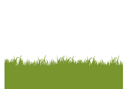 grassのイラスト