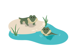 habitatのイラスト