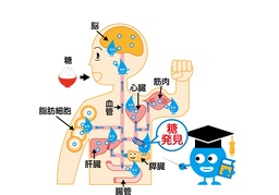 interactのイラスト