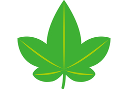 leafのイラスト