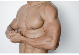 muscleのイラスト