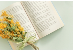 paragraphのイラスト