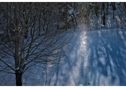 phenomenonのイラスト