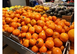 plentyのイラスト