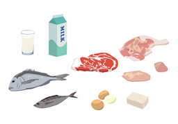 proteinのイラスト