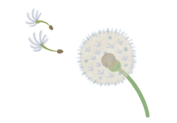 seedのイラスト