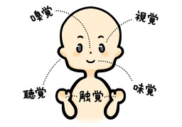 senseのイラスト