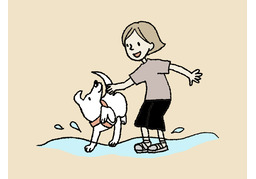 shallowのイラスト