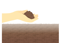 soilのイラスト