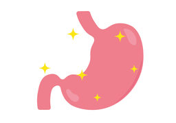 stomachのイラスト
