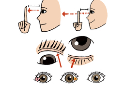 visualのイラスト