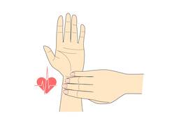 wristのイラスト