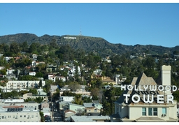 Californiaのイラスト