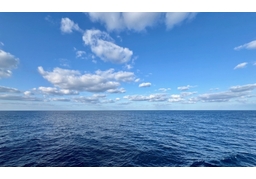 Pacificのイラスト