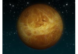 Venusのイラスト