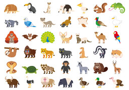 animalのイラスト