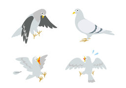 birdのイラスト