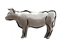 cattleのイラスト
