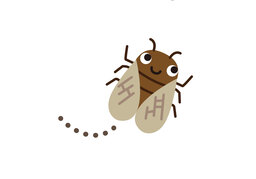 cicadaのイラスト
