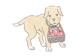 cleverのイラスト