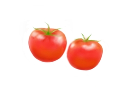 coupleのイラスト