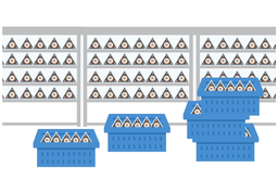 extraのイラスト