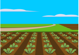 fieldのイラスト