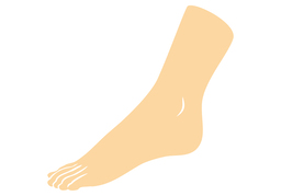 footのイラスト