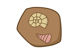 fossilのイラスト