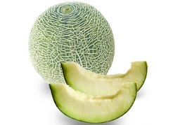 melonのイラスト