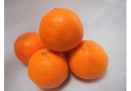 orangeのイラスト