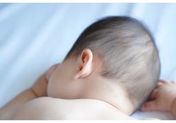 quietのイラスト