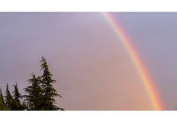 rainbowのイラスト