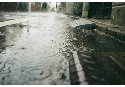 rainyのイラスト